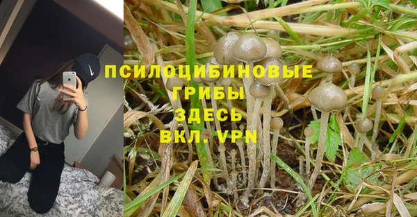 гидра Алзамай