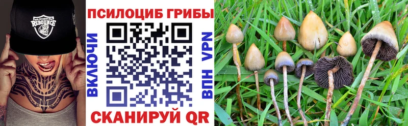 Псилоцибиновые грибы MAGIC MUSHROOMS  Чадан 