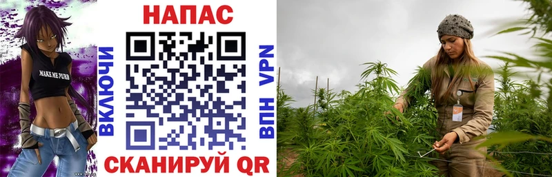 Конопля White Widow  купить наркотики цена  Чадан 